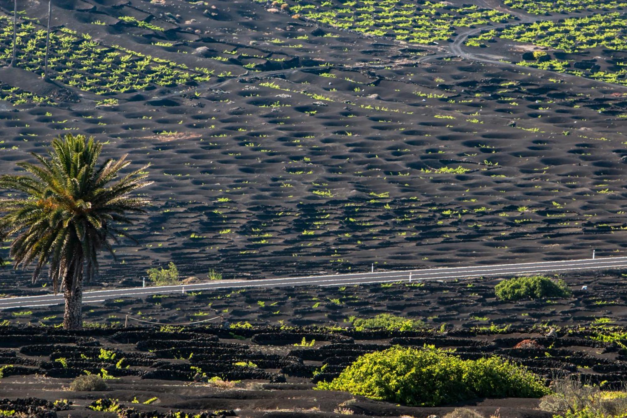 Home2Book Wanderlust Apt Arrecife Beach, Terrace Exteriér fotografie